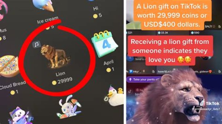 A Deep Dive Into TikTok Lion Gifts