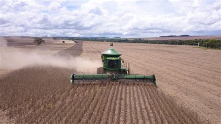 Brazil floods strike blow to powerful agriculture sector