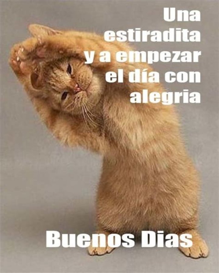 Buenos Dias memes