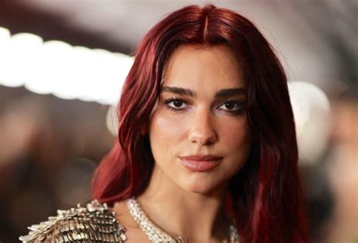 Dua Lipa's Net Worth And Earnings In 2024