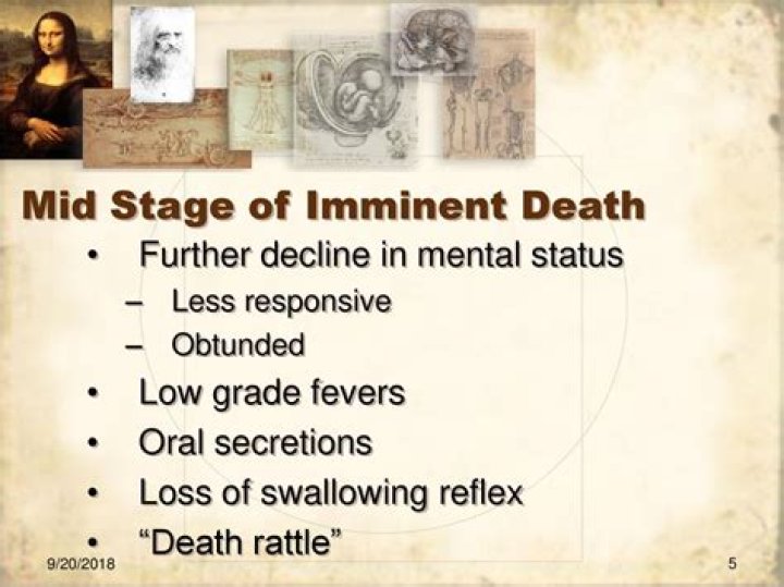 Exclusive: Bear Grylls Is Facing Imminent Death