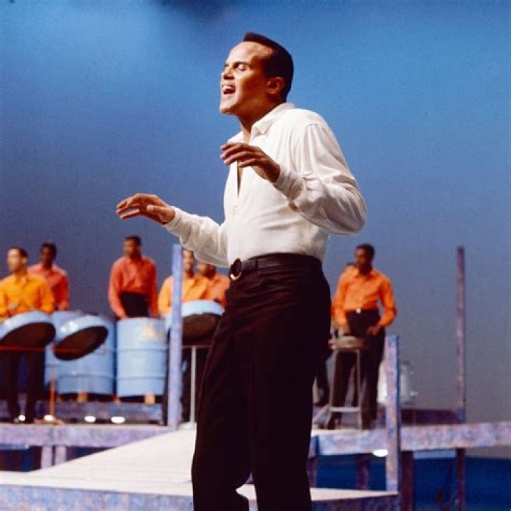 How Much Was Harry Belafonte Worth? ·