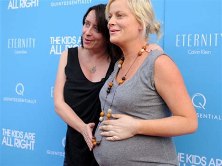 Is Amy Poehler Pregnant? Unraveling The Enigma