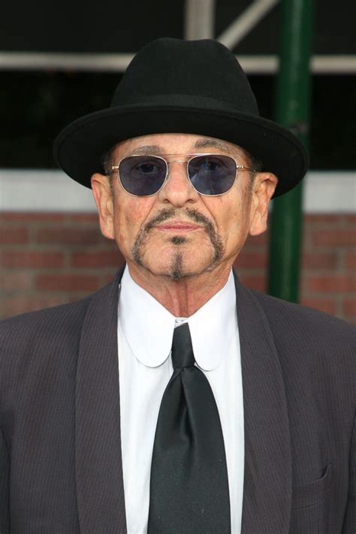 Is Joe Pesci Sick? Illness And Health Update 2023