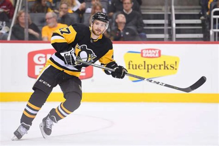 Janne Niinimaa Tax Evasion: Hockey Player Charged With Tax Fraud (Veropetos)