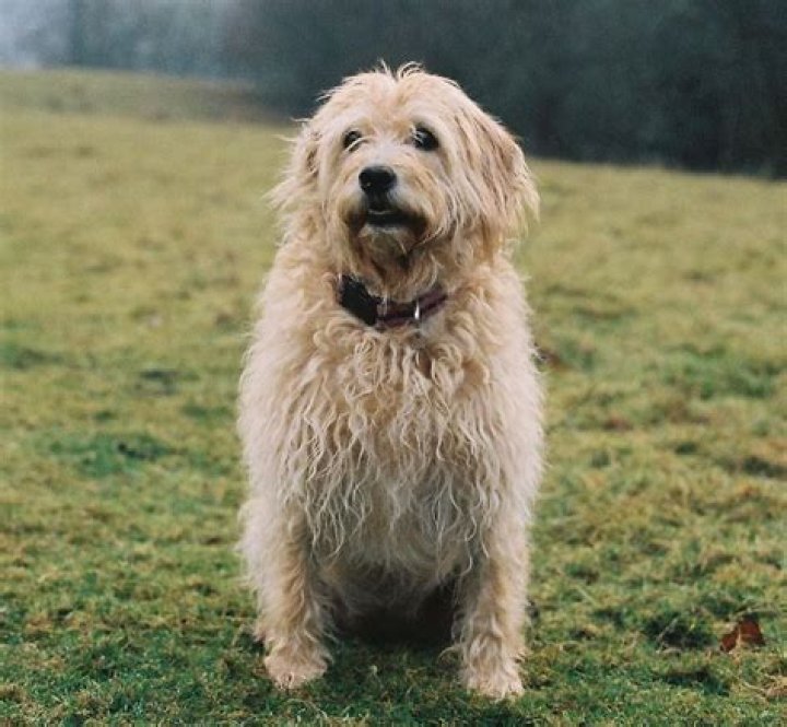 Jim Nunn Obituary, CBC Journalist Dead At 72 Wife And Net Worth Revealed