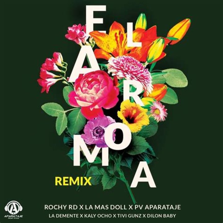 Lyrics & Translations of Alta Gama by Rochy Rd