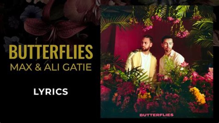 Lyrics & Translations of Butterflies by Max