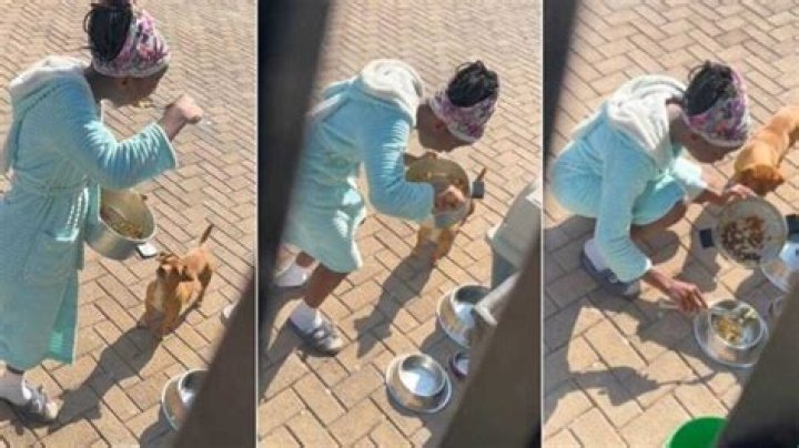 Mother Catches Her Daughter Red-handed Eating Dog Food at Home, Video Causes Stir