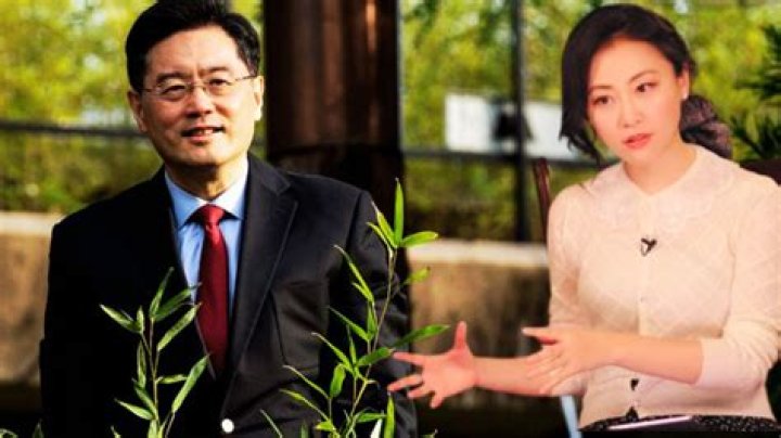 Qin Gang Family: Is His Wife Fu Xiaotian? Son Details