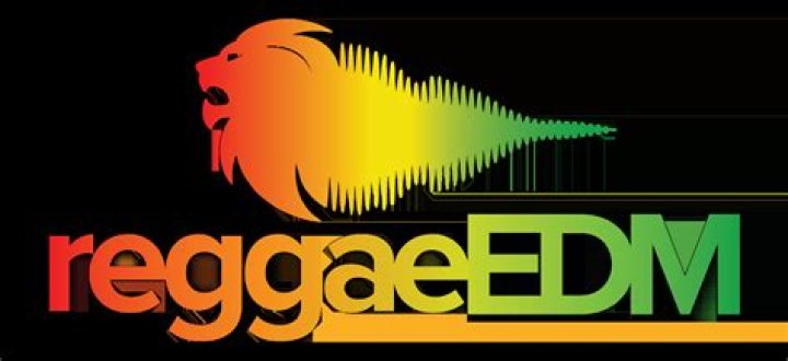 Reggae Songs Edm | Popnable
