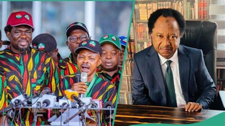 Shehu Sani Reacts As NLC Suspends Minimum Wage Strike for 5 Days: “Half Is Better Than None”