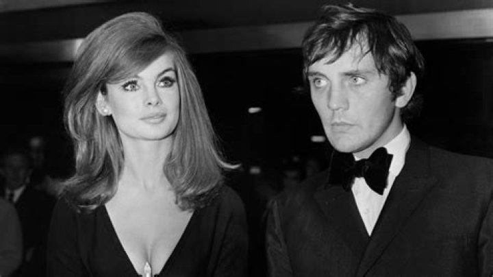 Terence Stamp Height