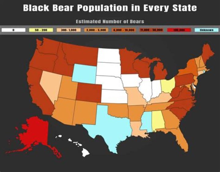 The Idea by Blackbear from USA
