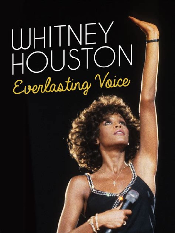 The Voice Whitney Houston | Popnable