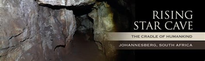 Unveiling The Financial Success Of The Rising Star