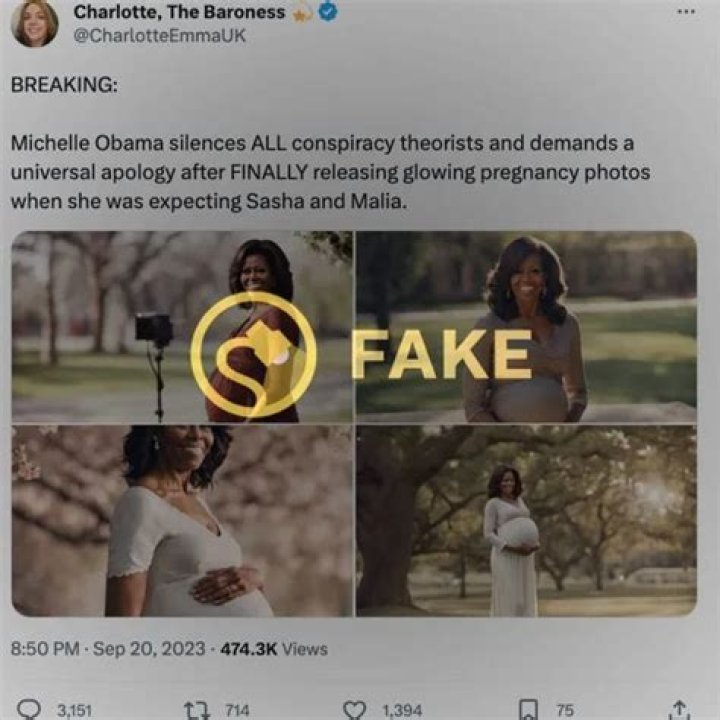 Unveiling The Power Of "Picture Of Michelle Obama Pregnant": Discoveries And Insights