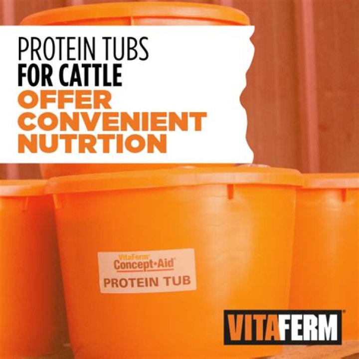 Will Deer Eat Cattle Protein Tubs: Unveiling the Truth