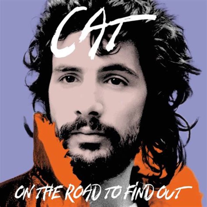 Yusuf / Cat Stevens Net Worth - How Much Does Yusuf / Cat Stevens Make?